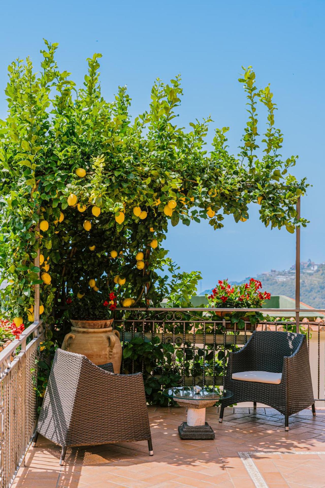 B&B Il Cortile ラヴェッロ エクステリア 写真